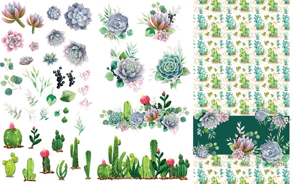 Decor Transfers | Large Transfer | Belles and Whistles | 38.8" X 24.8"| CACTI & SUCCULENTS