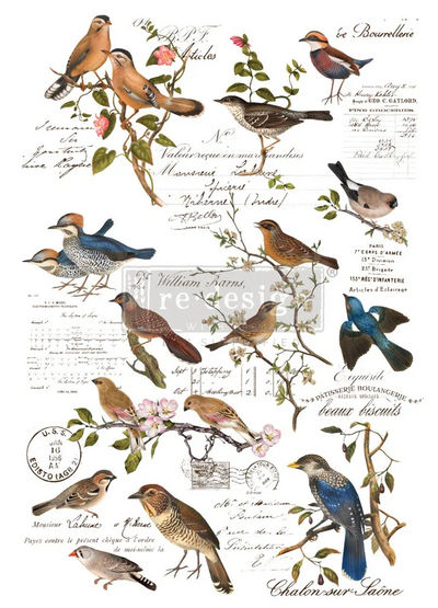 POSTAL BIRDS | Decor Transfers | Redesign With Prima  | 24" X 35"