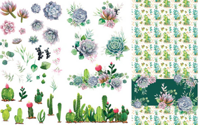 a collection of cacti and succulent furniture transfers